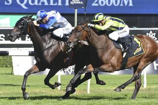 Charles Road making a triumphant Australian debut in the Group 2 Schweppes Chairman’s Quality.